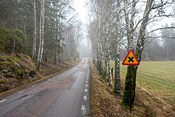 "Crossing ahead on Backa road, Immestad.jpg", uploaded by User:W.carter