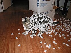 "File:Cat and styrofoam – electrostatic charge (235112299).jpg", uploaded by User:Czar