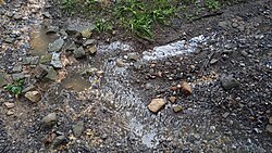 Beverage Knob Rd after rain in Rock Cave, West Virginia, US, on 7 August 2023 (07).jpg