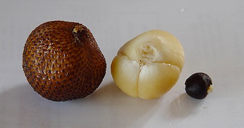 Salak (snakeskin fruit?)