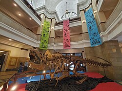 "Pokemon exhibition at National Museum of Nature and Science.jpg", uploaded by User:Syced