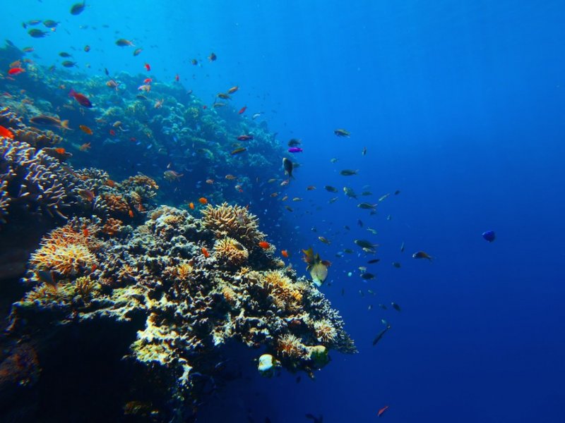 gili biaha