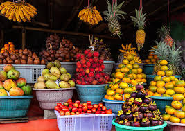 images 5 2