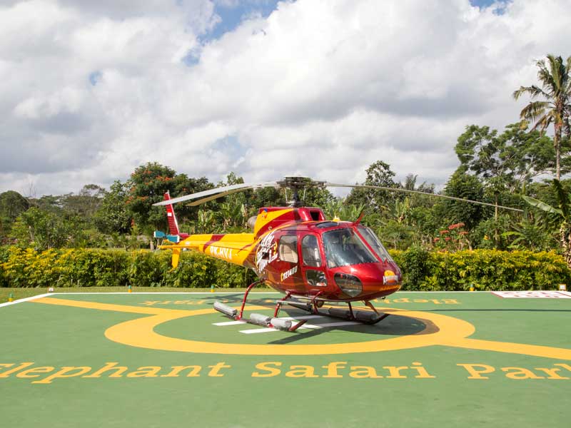 mason sky helicopter
